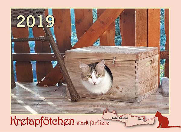 Kreta Katzenkalender 2019