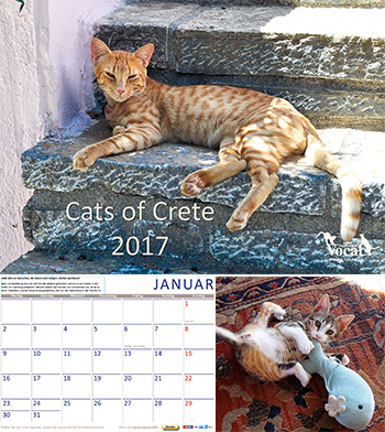 Vocal-Katzenkalender für Kreta